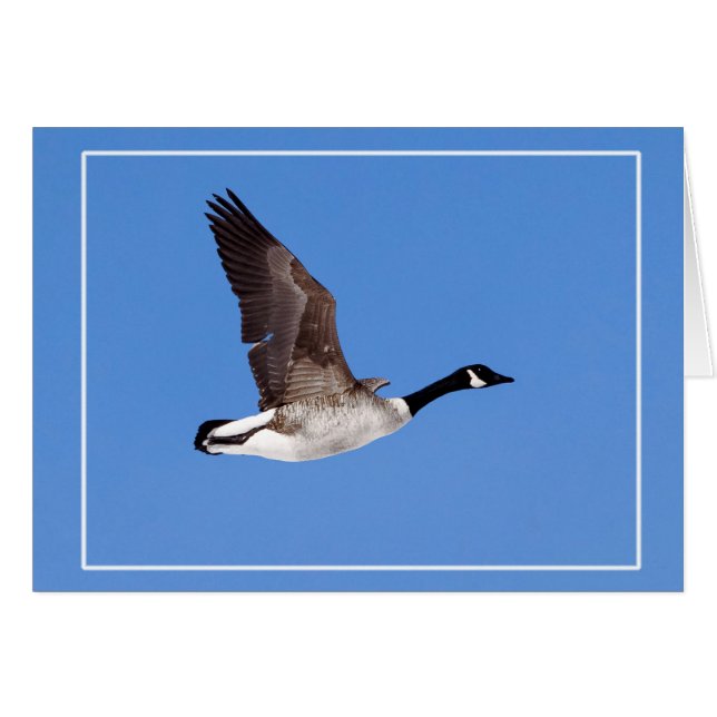 Flying Goose (Vorderseite (Horizontal))