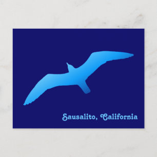Flying Gull Postcard Postkarte