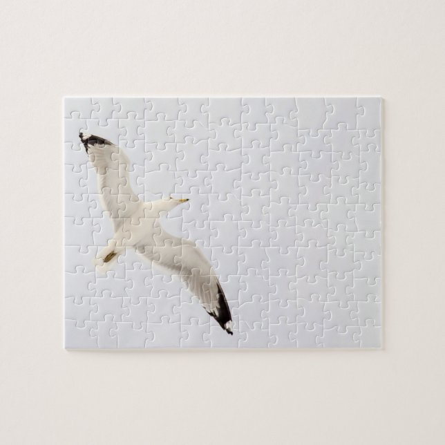 Flying Gull Puzzle (Horizontal)