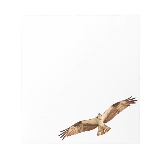 Flying Hawk Notepad Notizblock (Vorderseite)