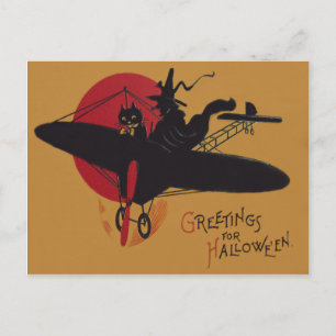 Flying Hexe Black Cat Flugzeug Vollmond Postkarte