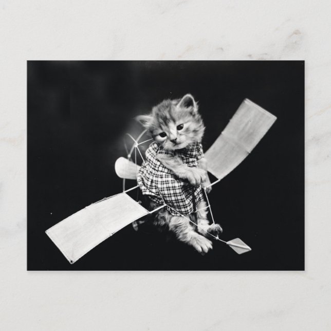 Flying Kitty Vintag Black and White Postkarte (Vorderseite)