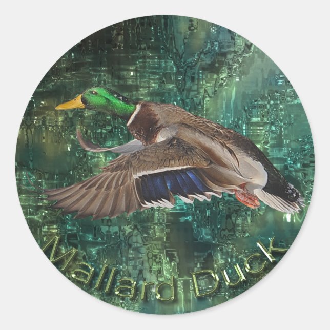 Flying Male Mallard Duck (Drake) Wildlife Sticker (Vorderseite)
