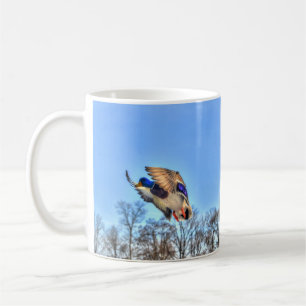 Flying Mallard Duck Drake Wildlife Foto Kaffeetasse