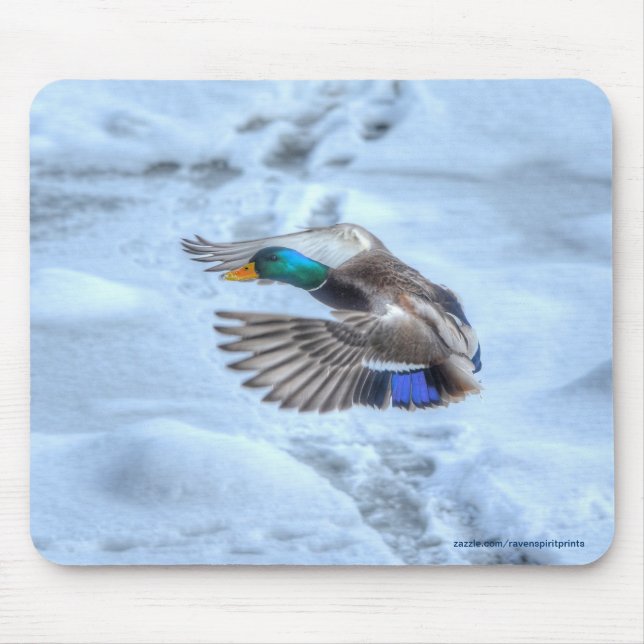 Flying Mallard Duck Drake Wildlife Foto Mousepad (Vorne)