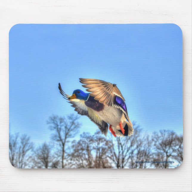 Flying Mallard Duck Drake Wildlife Foto Mousepad (Vorne)