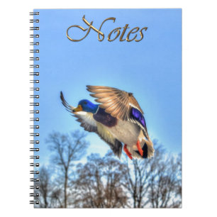 Flying Mallard Duck Drake Wildlife Foto Notizblock