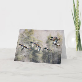 Flying Mallards Karte