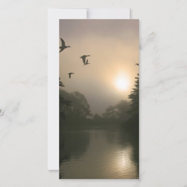 Flying Mallards und Morning Fog (Vorderseite)