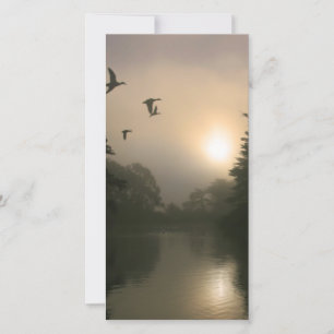 Flying Mallards und Morning Fog
