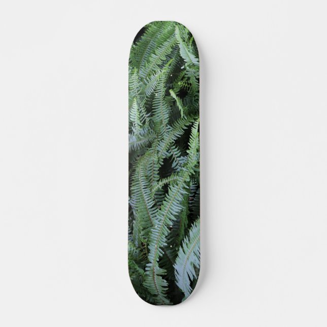 Flying on Ferns Skateboard (Vorne)