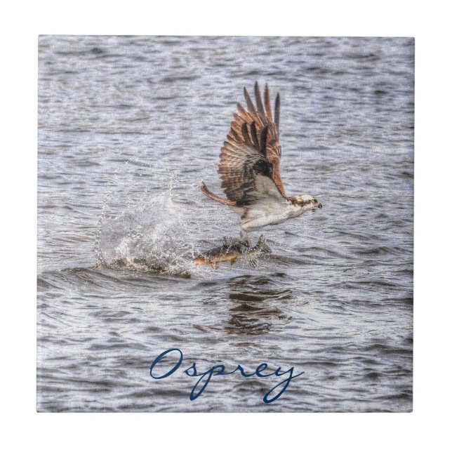 Flying Osprey & Fish HDR Wildlife Foto Geschenk Fliese (Vorderseite)