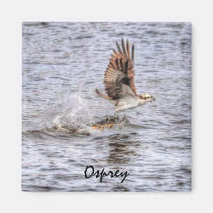 Flying Osprey & Fish HDR Wildlife Foto Geschenk Magnet