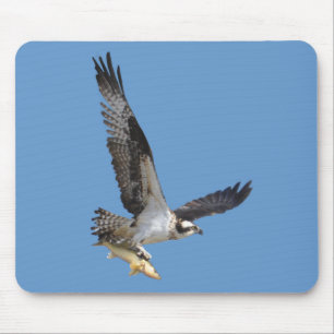 Flying Osprey & Fish Wildlife Fotogray Mousepad