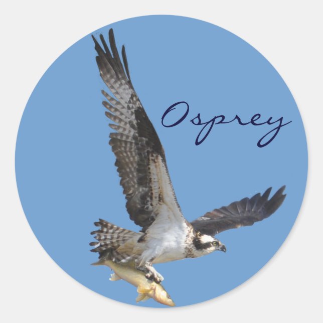Flying Osprey & Fish Wildlife Fotogray Runder Aufkleber (Vorderseite)