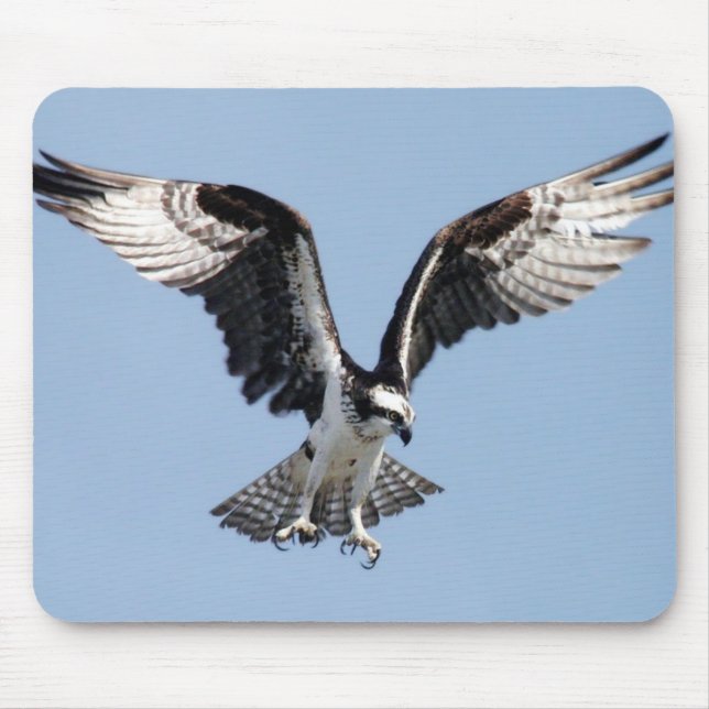 Flying Osprey Mousepad (Vorne)