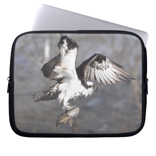 Flying Osprey Raptor Wildlife Sleeve (Vorderseite)