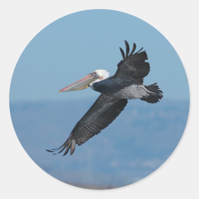Flying Pelican 9 Aufkleber (Vorderseite)