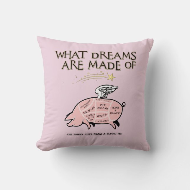 Flying Pig Diagramm-What Dreams Made Kissen (Vorderseite)