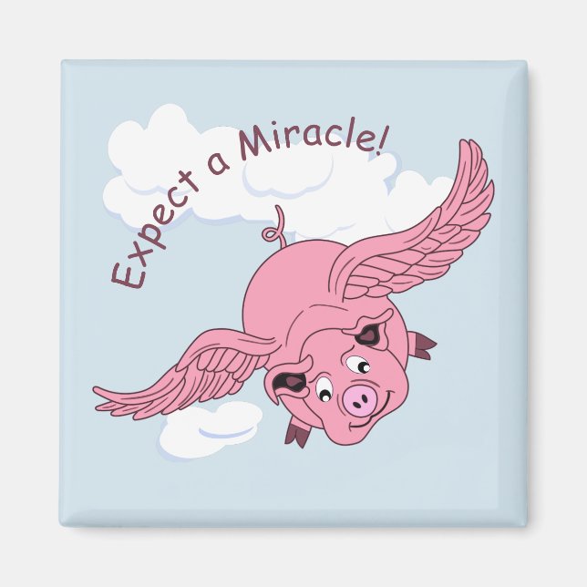 Flying Pig Magnet (Vorne)