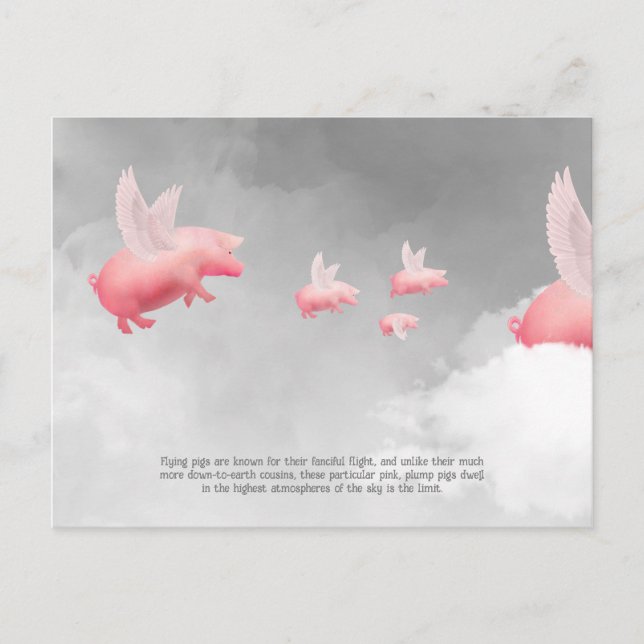 Flying Pig Postkarte (Vorderseite)