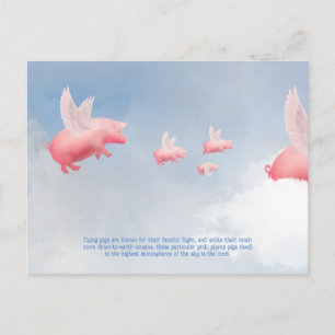 Flying Pig Postkarte