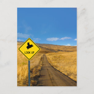 Flying Pig Road Sign Postkarte