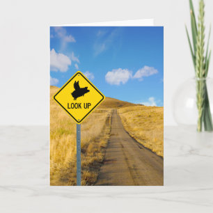 Flying Pig-Zeichen Karte