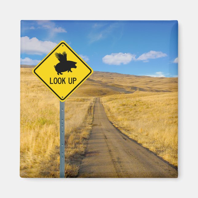 Flying Pig-Zeichen Magnet (Vorne)