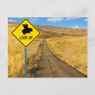 Flying Pig-Zeichen Postkarte