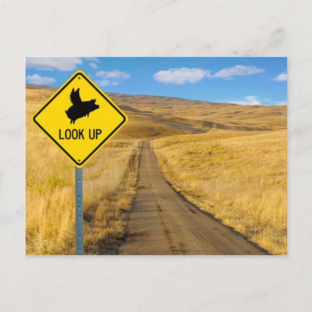 Flying Pig-Zeichen Postkarte (Vorderseite)