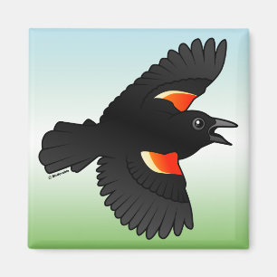 Flying Red-Flüinged Blackbird Magnet