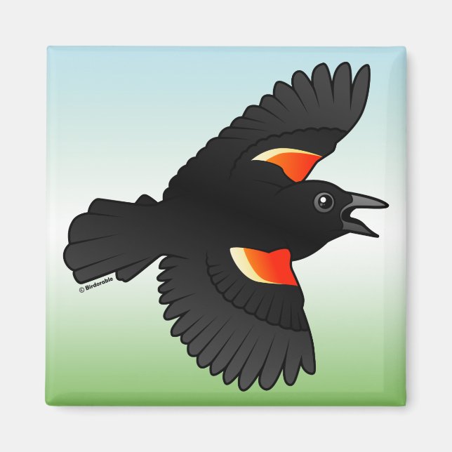 Flying Red-Flüinged Blackbird Magnet (Vorne)