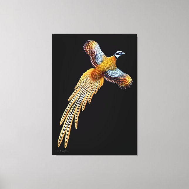 Flying Reeves Pheasant Wrapped Canvas Leinwanddruck (Vorderseite)