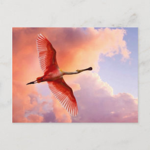Flying Roseate-Spoonbill Postkarte