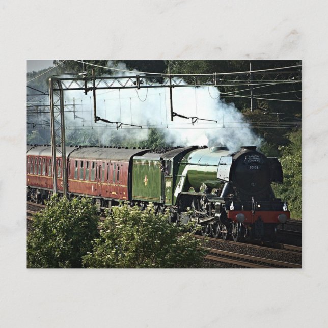 Flying Scotsman on the Mainline (5539) Postkarte (Vorderseite)