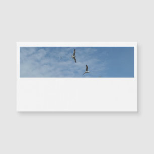 Flying Seagulls Business Cards Magnetkarte