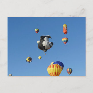 Flying Skunk Postkarte