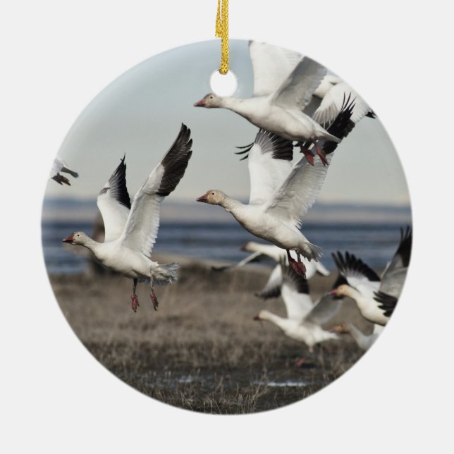 Flying Snow Gese Keramikornament (Hinten)