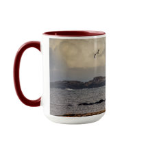 Flying Solo in Nubble Lighthouse