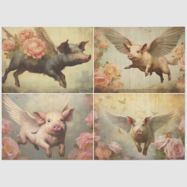 Flying Swine Seidenpapier (Vorderseite)