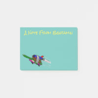 Flying Tortoise