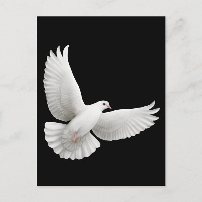 Flying White Dove Postcard Postkarte (Vorderseite)