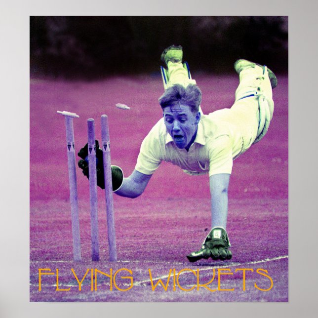 Flying Wickets Poster (Vorne)