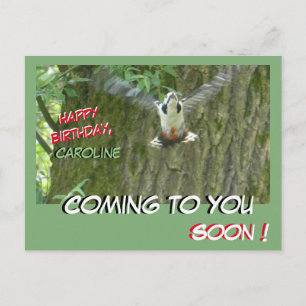 Flying Woodpecker kommen zu Ihnen Geburtstagskarte Postkarte