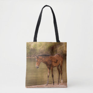Foal am Fluss