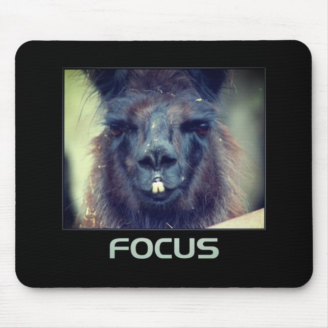 Focus Black Llama Inspiration Mousepad (Vorne)
