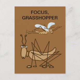 FOCUS GRASSHOPPER POSTKARTE