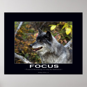 FOCUS Motivierend Poster
