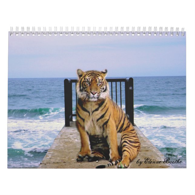 Focus & Strength_2010 Calendar-by Elenne Boothe Kalender (Titelbild)